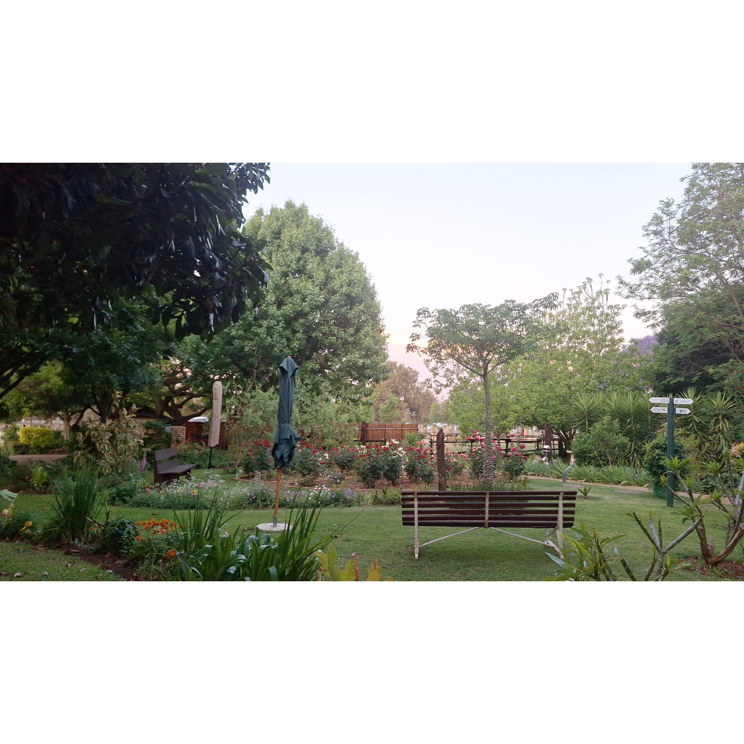 IMG-20241022-WA0018