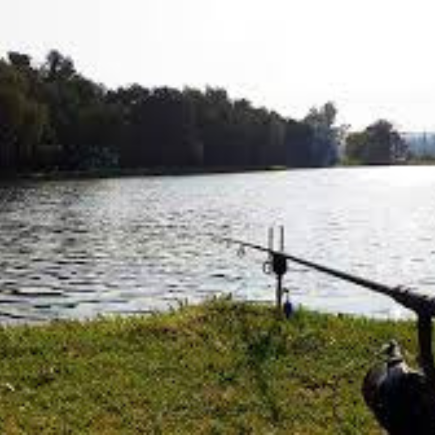 Bergsig Trout Farms