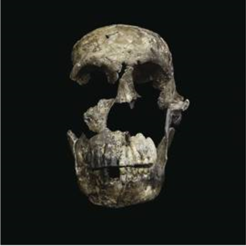 Cradle of Humankind