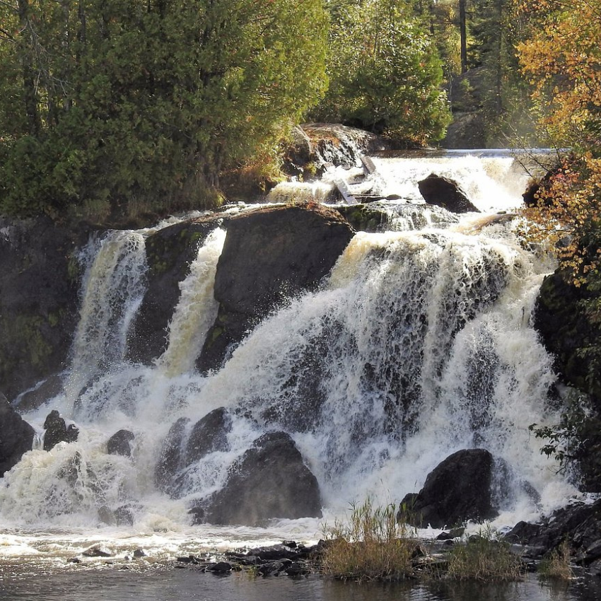 Little Falls Nature Reserve
