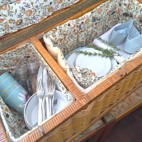 Picnic Setup